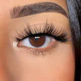 Ashley 3D Silk Eye Lashes By Thrifty Lashes